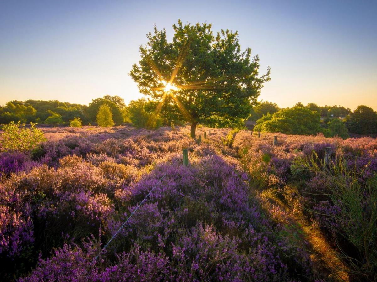 فندق هاوْسِنفي  Landal Gooise Heide المظهر الخارجي الصورة